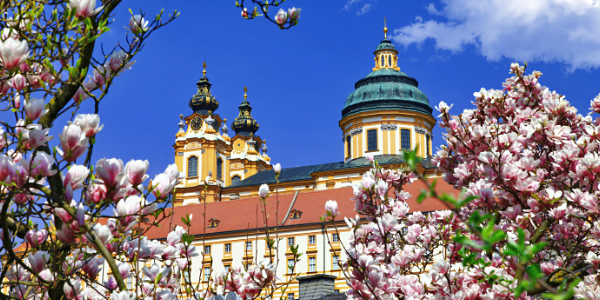 melk-shore-excursions