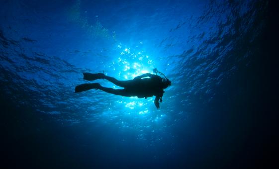 Elephant's Cave Dive Experience